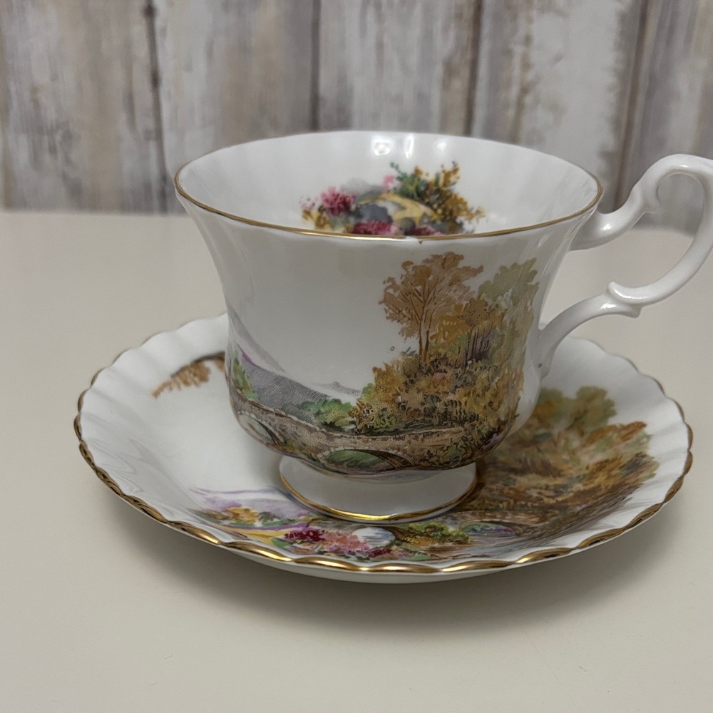Royal Albert Elegant Floral Teacup and Saucer Set